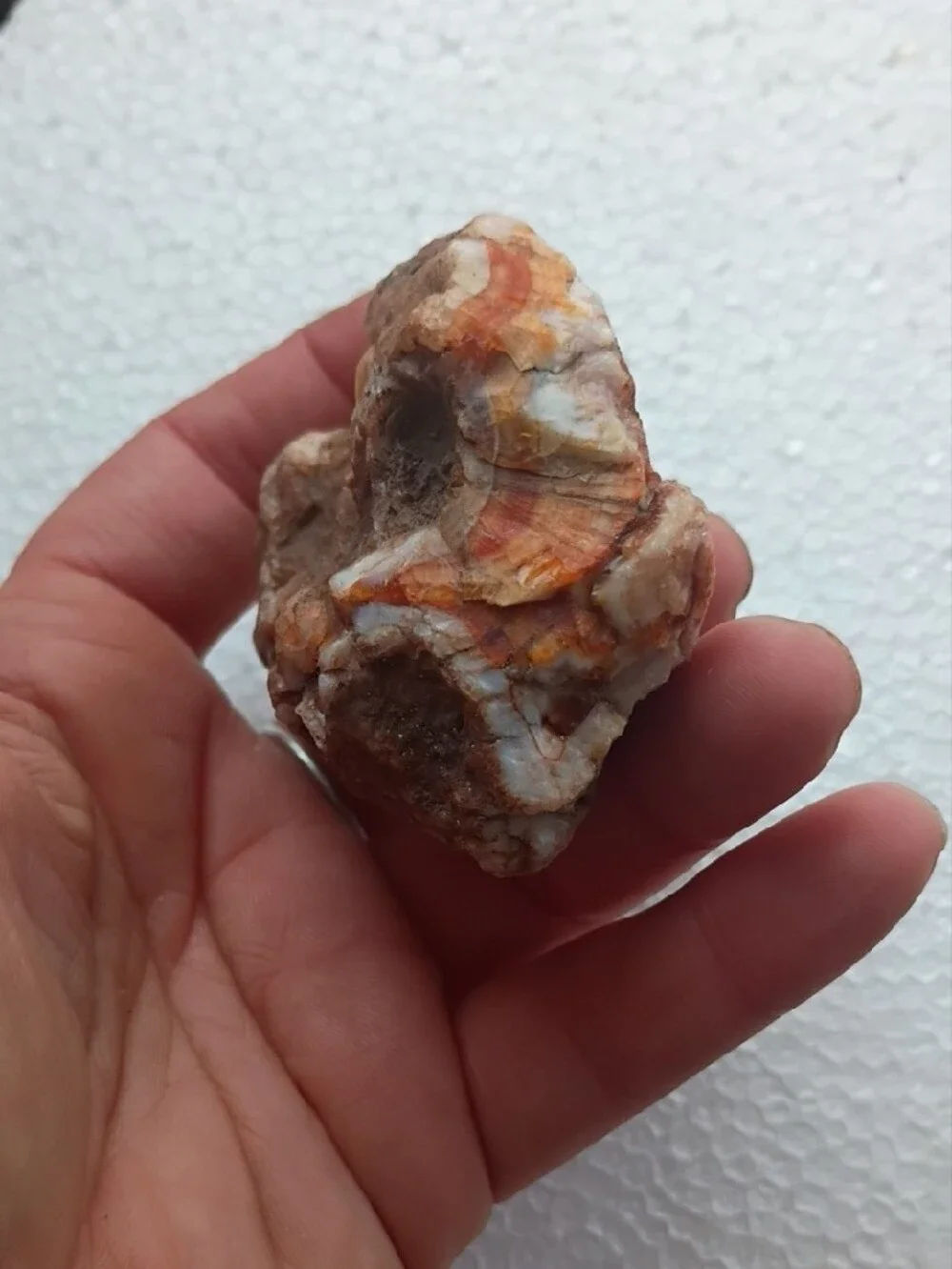 Natural Orange-Brown Reptile Hideaway Rock - Unbranded